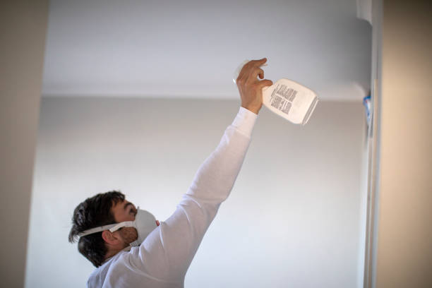 Best Kitchen Mold Remediation in Paris, MO