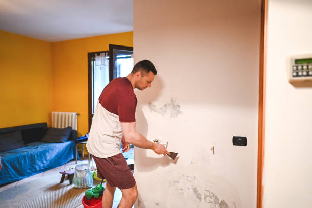 Best Residential Mold Remediation in Paris, MO